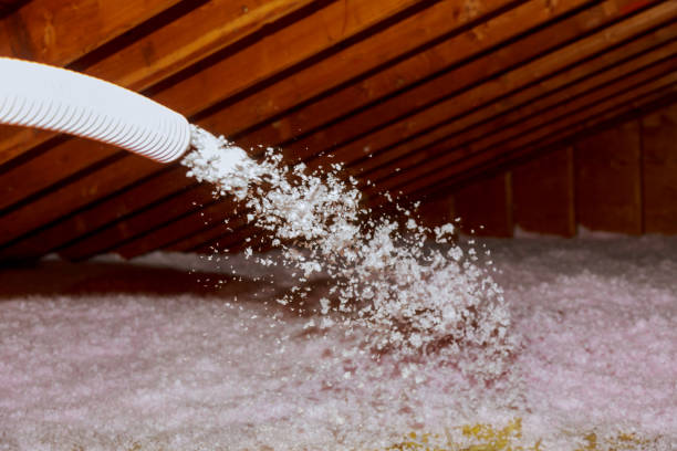 Trusted Nutter Fort, WV Insulation Contractor Experts