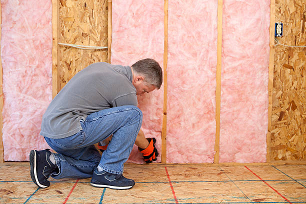Best Geographic-Specific Insulation Services in Nutter Fort, WV