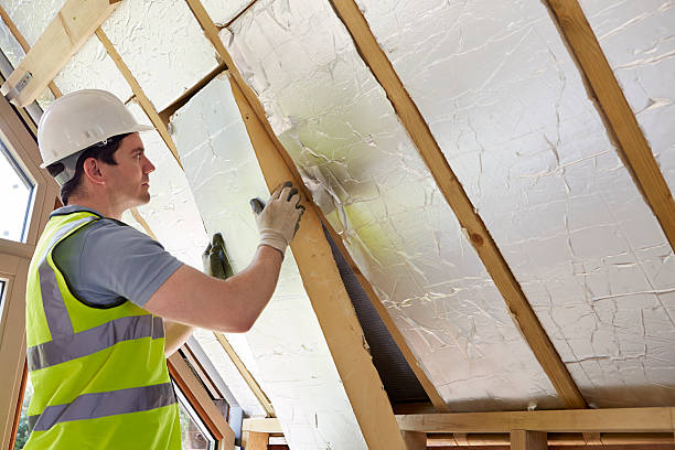 Best Commercial Insulation in Nutter Fort, WV