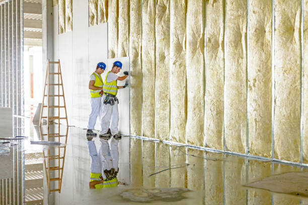 Best Residential Insulation in Nutter Fort, WV